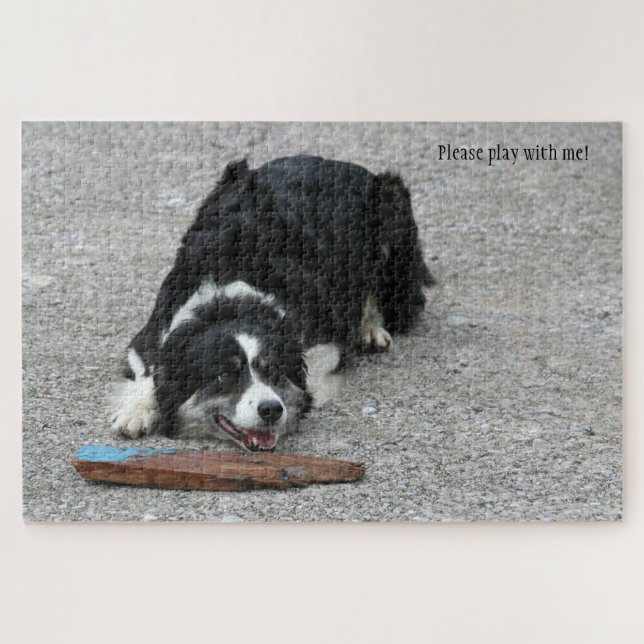 Pleases play with me Border Collie dog personalise Jigsaw Puzzle (Horizontal)