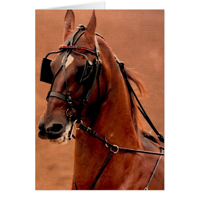 Pleasure Harness Saddlebred Digital Art Cards (Front)