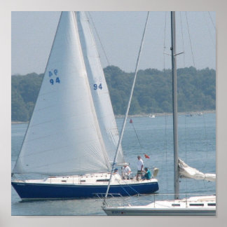 Pleasure Sail Poster