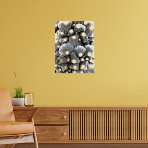 Pleated Inkcaps Poster