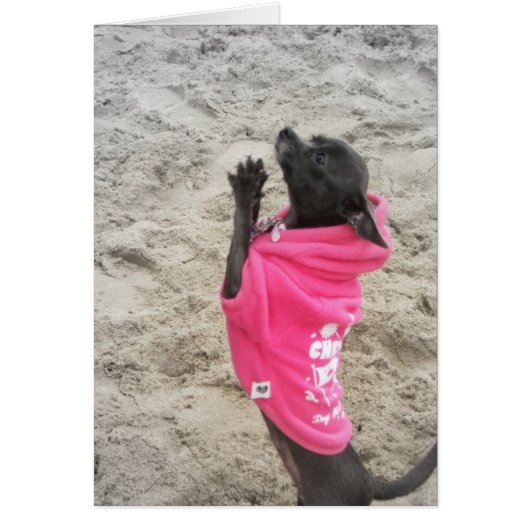 PLeeeeaaasssee!! (Front)