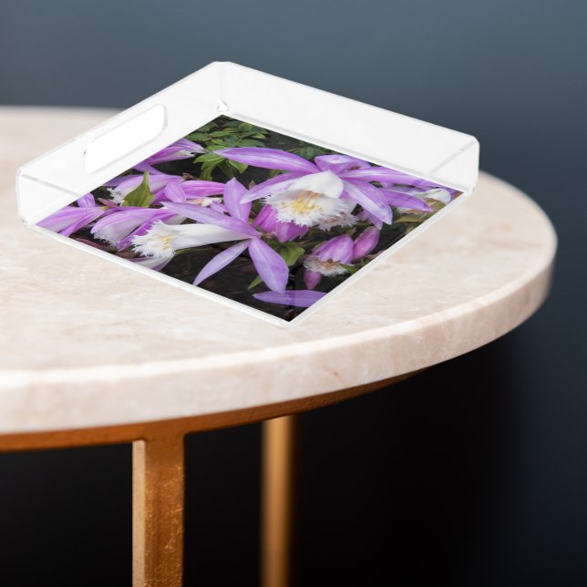 Pleione Window Sill Orchids Floral Acrylic Tray (In Situ Angled)