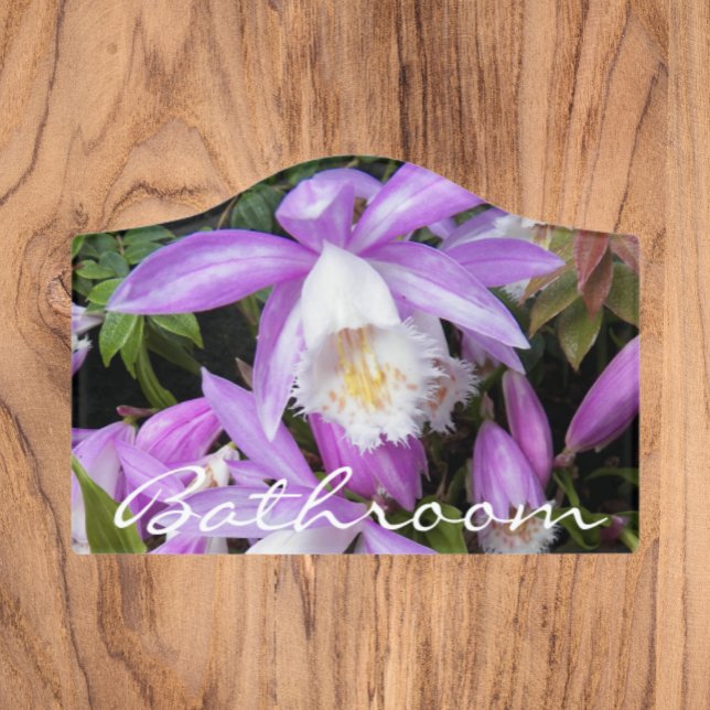 Pleione Windowsill Orchids Floral Bathroom Door Sign (In Situ)