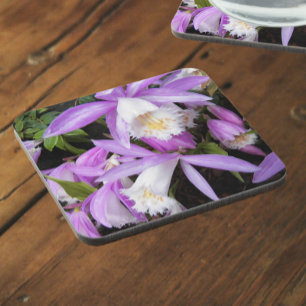 Pleione Windowsill Orchids Floral Beverage Coaster