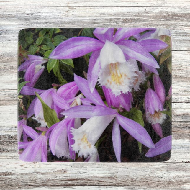 Pleione Windowsill Orchids Floral Cutting Board (In Situ)