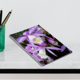 Pleione Windowsill Orchids Floral Notebook