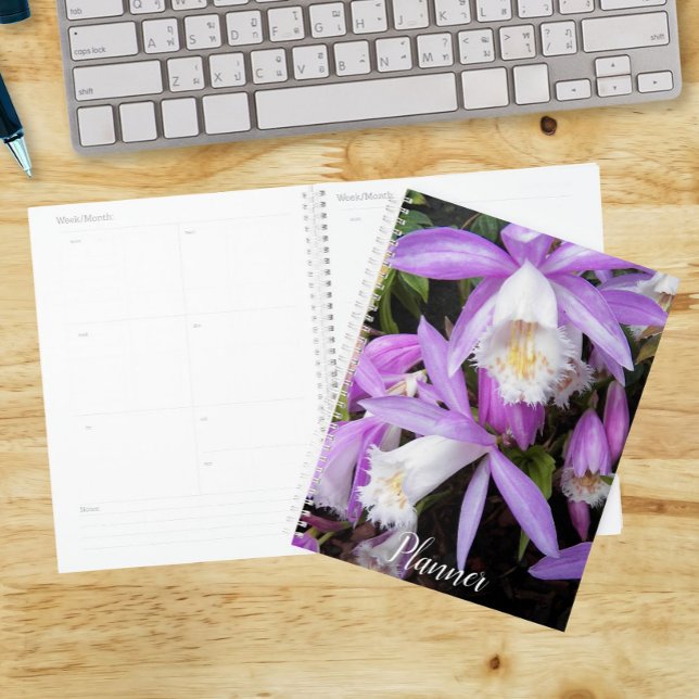 Pleione Windowsill Orchids Floral Planner (In Situ)
