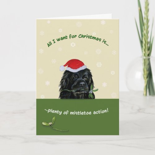 Plenty of Mistletoe Holiday Card