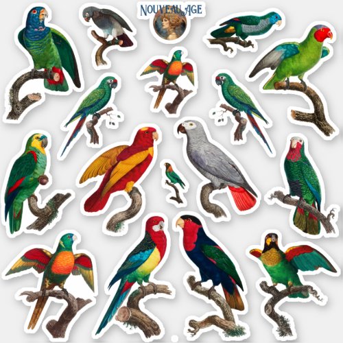 Plenty of Parrots Colorful Birds Sticker Sheet