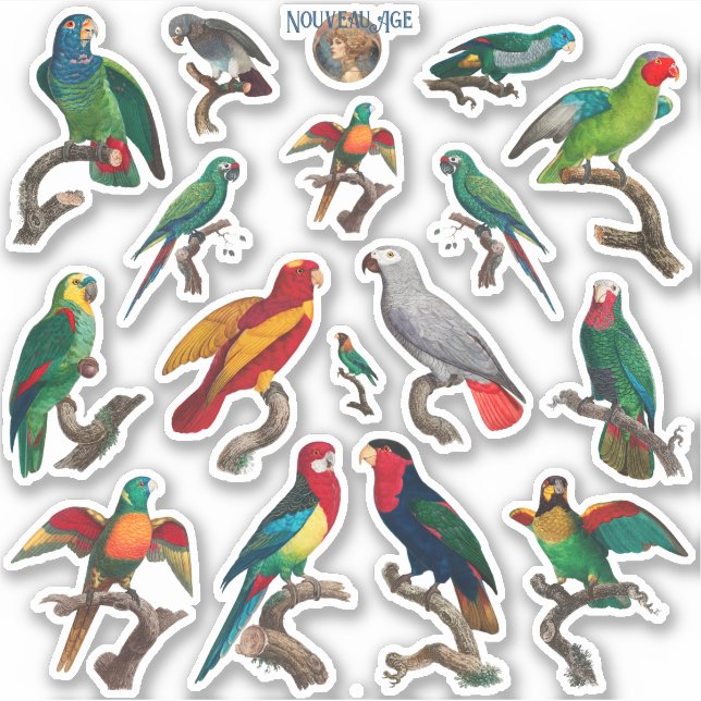 Plenty of Parrots Colorful Birds Sticker Sheet (Front)