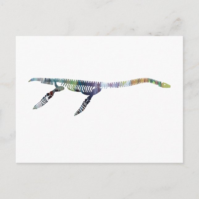 plesiosaur skeleton postcard (Front)