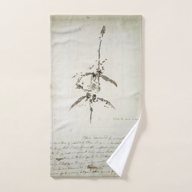 Plesiosaurus dolichodeirus hand towel  (Hand Towel)