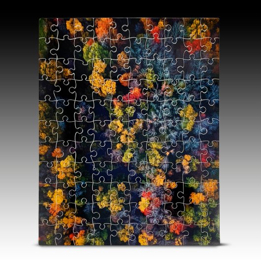 Plexi Puzzle (Image Idea)