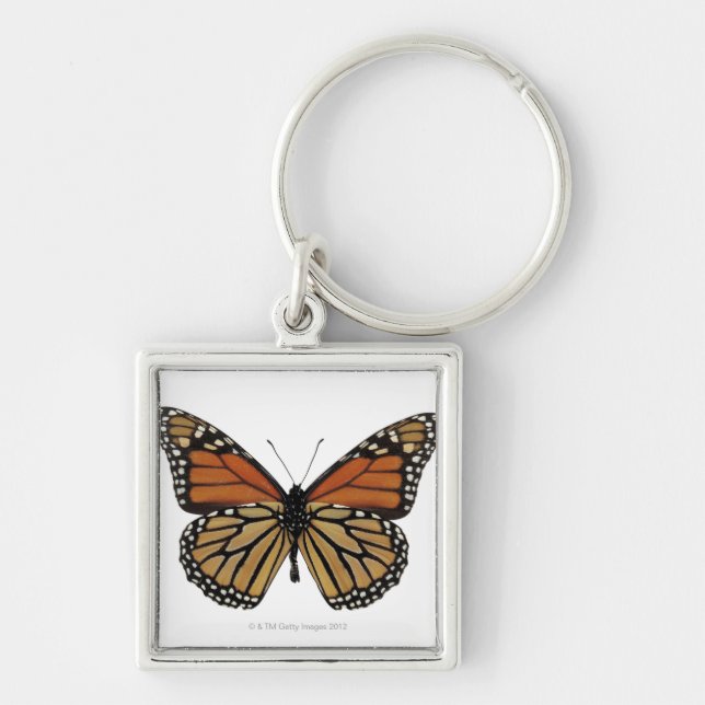 Plexippus Danaus Butterfly Keychain (Front)