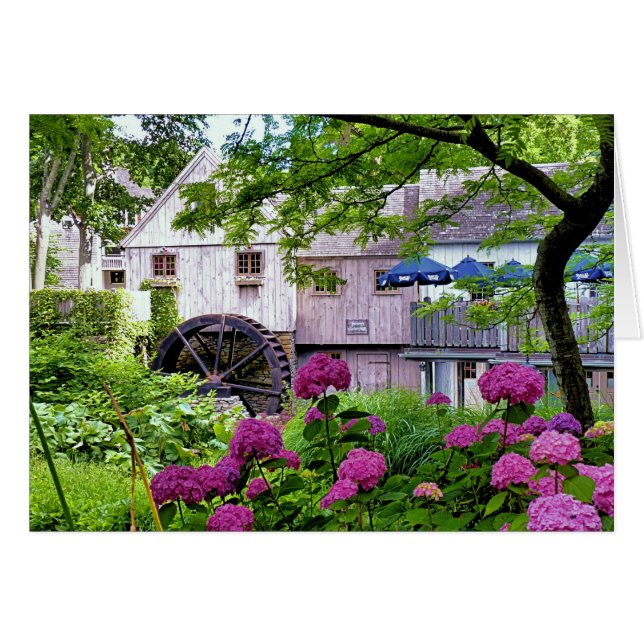 Plimoth Grist Mill at Jenney Pond in Summer Cards (Front Horizontal)