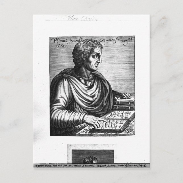 Pliny the Elder Postcard (Front)