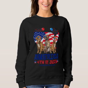 Plott Hound America 4th Of July Independence Day Sweatshirt