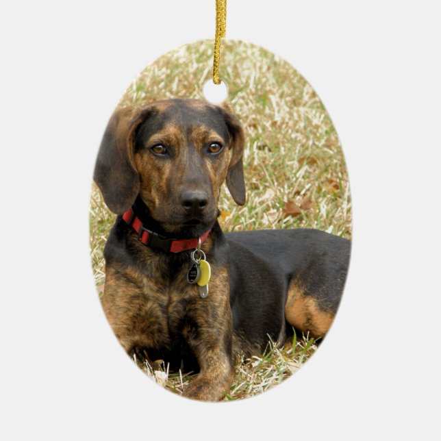 Plott Hound Ceramic Ornament (Front)