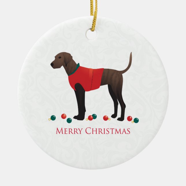 Plott Hound Christmas Ceramic Ornament (Front)