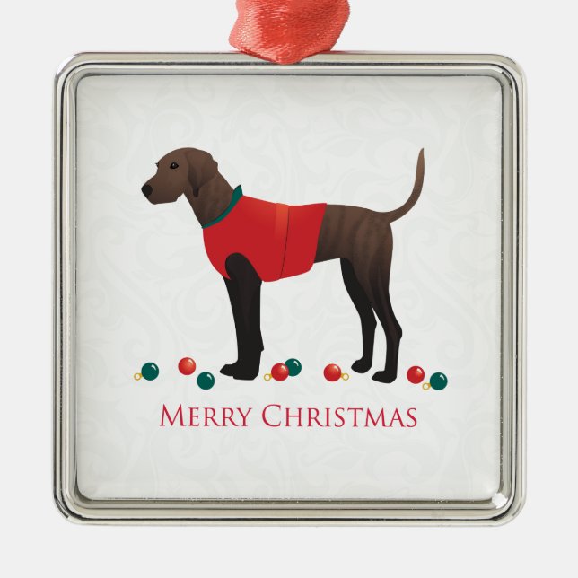 Plott Hound Christmas Metal Ornament (Front)