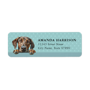 Plott Hound Dog Return Address Labels