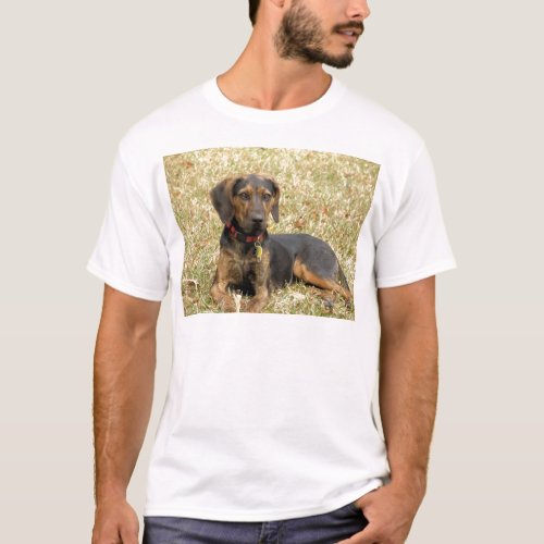 Plott Hound T_Shirt