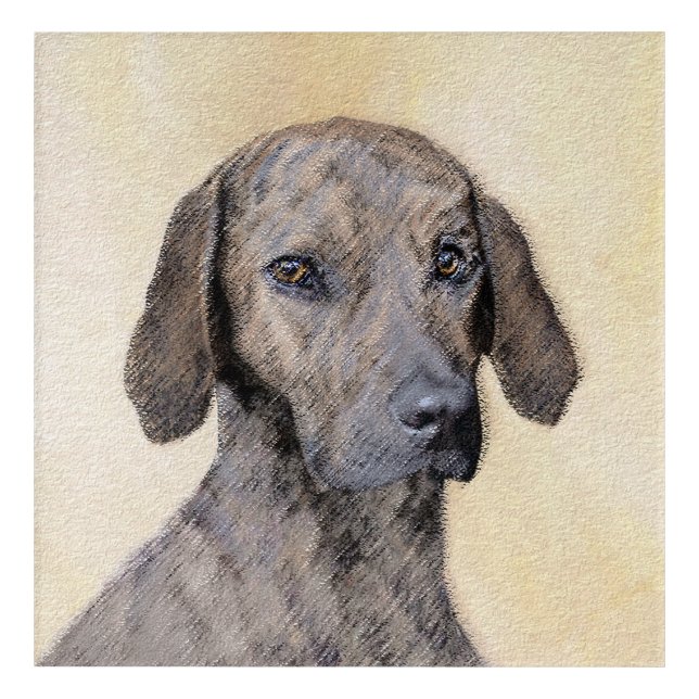 Plott Painting - Cute Original Dog Art (Front)