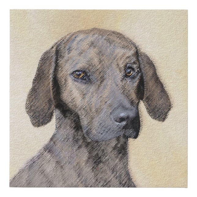 Plott Painting - Cute Original Dog Art Faux Canvas Print (Front)