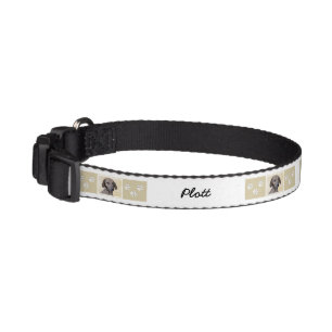 Plott Painting - Cute Original Dog Art Pet Collar