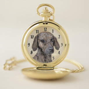 Plott Painting - Cute Original Dog Art Pocket Watch