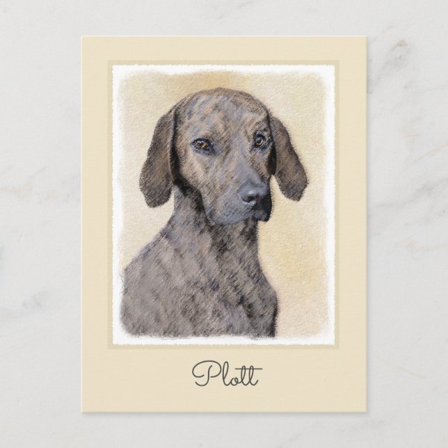 Plott Painting - Cute Original Dog Art Postcard (Front)
