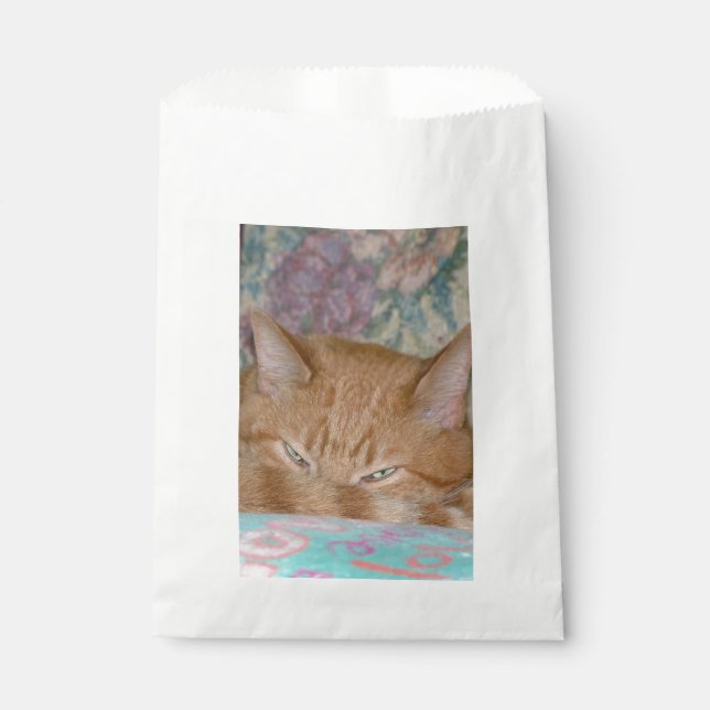 Plotting Favor Bag (Front)