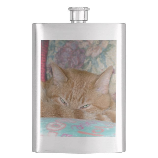 Plotting Flask (Front)