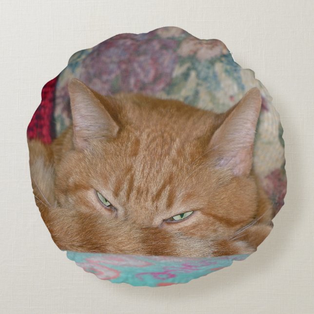 Plotting Round Pillow (Back)