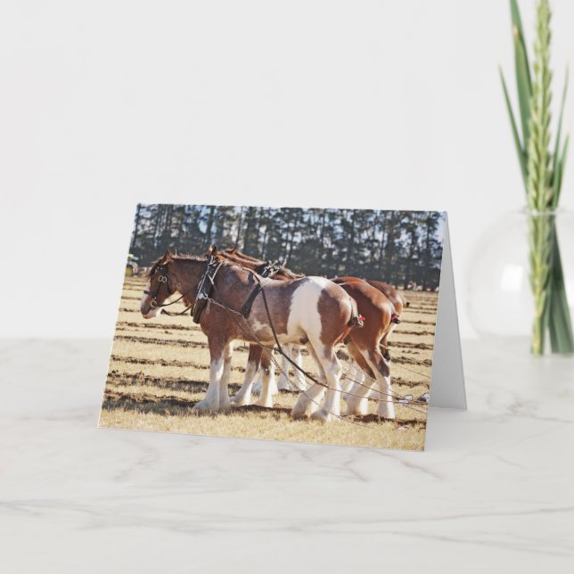 Ploughing Draft Horses in Hitch Thank you Holiday Card (Front)