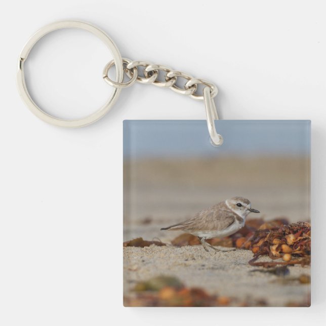 Plover and Seaweed Keychain (Front)