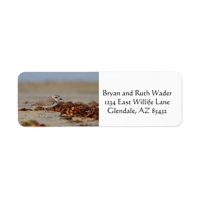 Plover and Seaweed Label (Front)