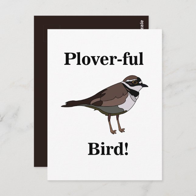 Plover Bird Funny Nature Wildlife Postcard (Front/Back)