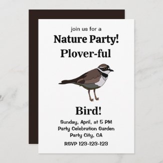 Plover Bird Wildlife Birding Nature Party
