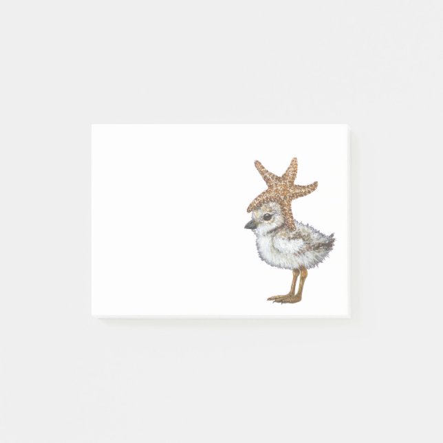 Plover chick Notes (Front)