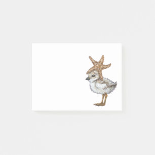 Plover chick Post-It Notes