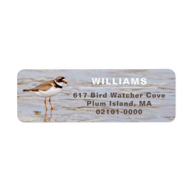 Plover Shore Bird Return Address Label (Front)