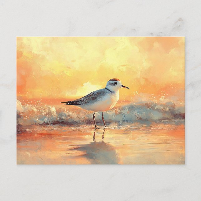 Plover Standing in Ocean Waves During Sunset Postcard (Front)