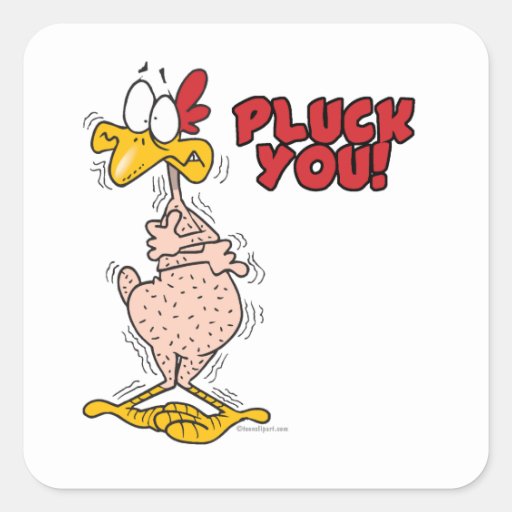 pluck you funny plucked chicken cartoon square sticker