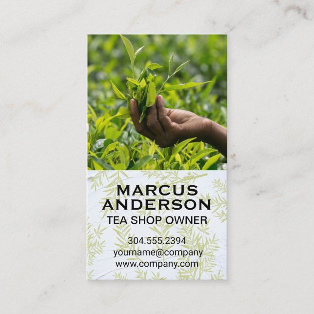 Plucking Tea Plant in Field Business Card (Front)