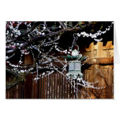 Plum Blossom and Metal Lantern (Front Horizontal)