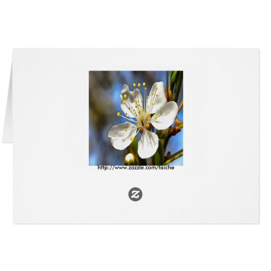 Plum Blossom Botanical Art (Back Horizontal)