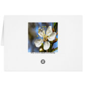 Plum Blossom Botanical Art Cards (Back Horizontal)