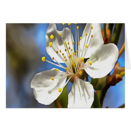 Plum Blossom Botanical Art Cards (Front Horizontal)