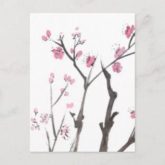 Plum Blossom Branches in Spring Postcard